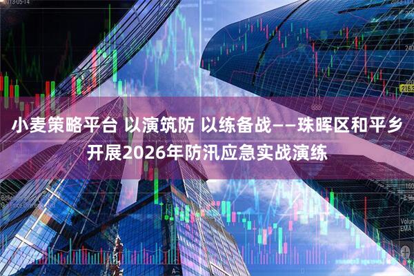 小麦策略平台 以演筑防 以练备战——珠晖区和平乡开展2026年防汛应急实战演练