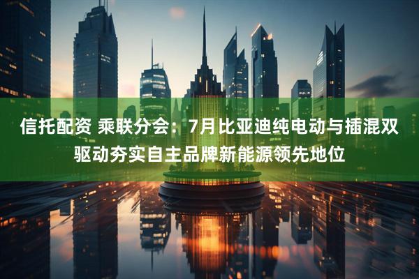 信托配资 乘联分会：7月比亚迪纯电动与插混双驱动夯实自主品牌新能源领先地位