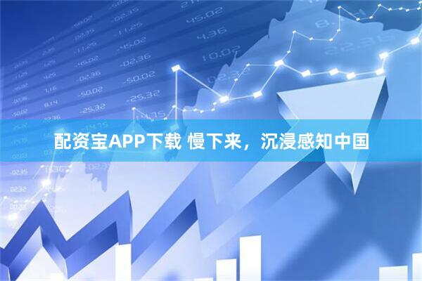 配资宝APP下载 慢下来，沉浸感知中国