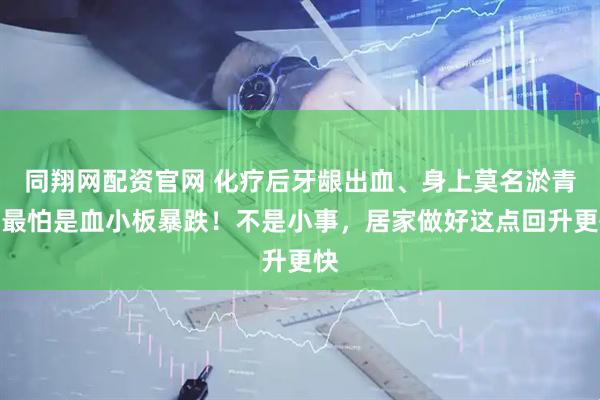 同翔网配资官网 化疗后牙龈出血、身上莫名淤青？最怕是血小板暴跌！不是小事，居家做好这点回升更快